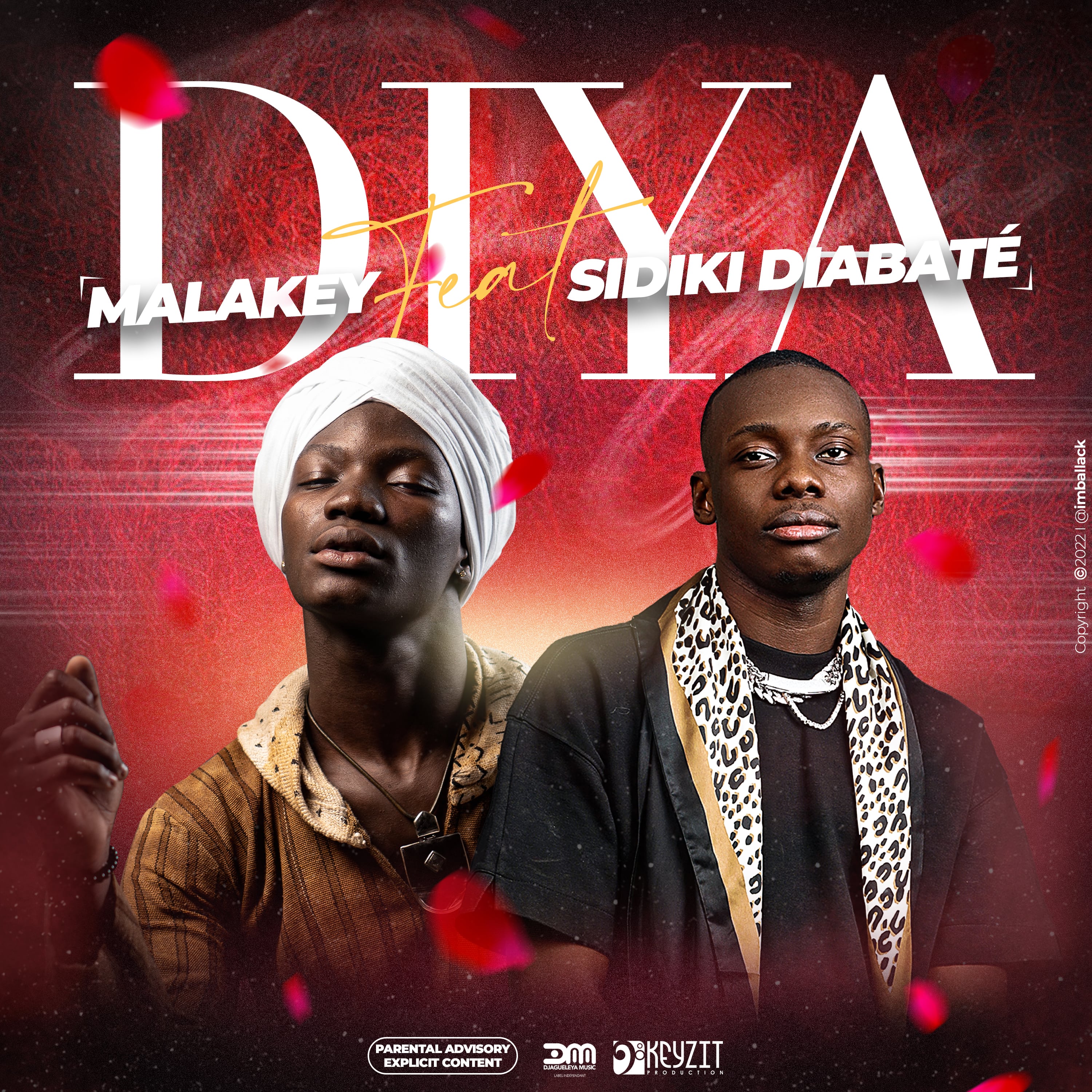 Malakey feat Sidiki Diabaté  - Diya